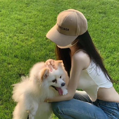 美国派：高潮再起